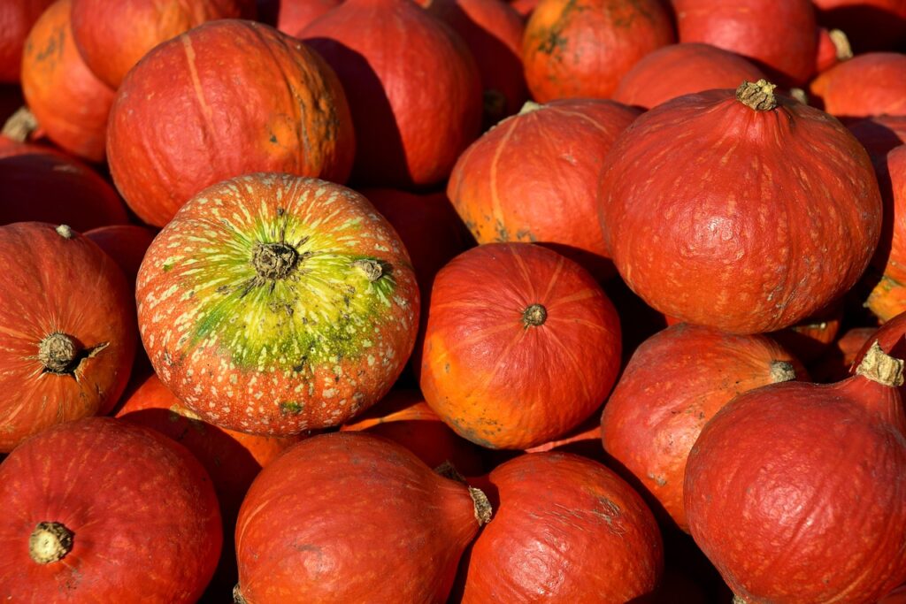 hokkaido pumpkin, pumpkin, harvest-3636239.jpg